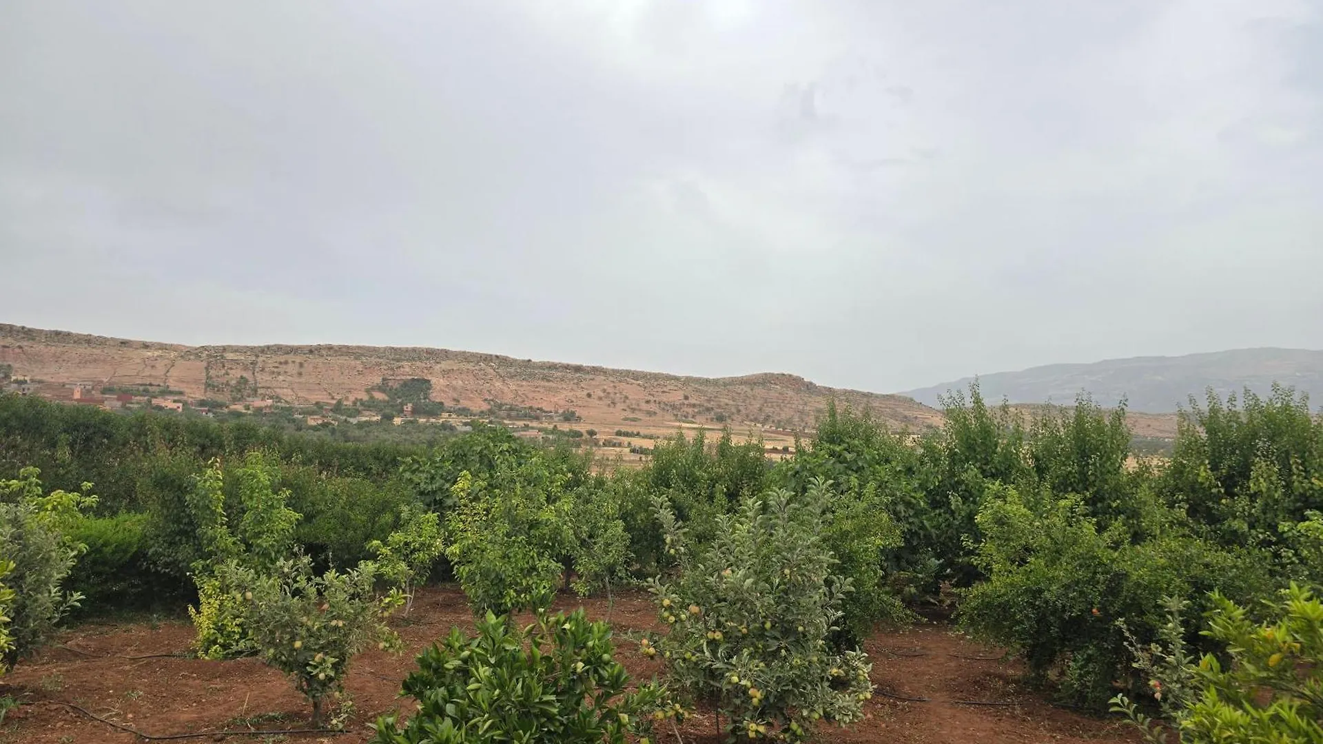 Luxueuse Villa Tedili Mesfioua Μαρακές