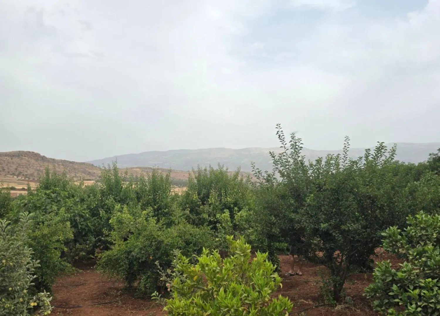 Luxueuse Villa Tedili Mesfioua Μαρακές